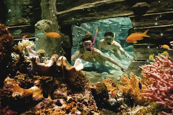 Aqua Mundo De Kempervennen