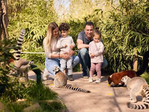 Eindhoven Zoo