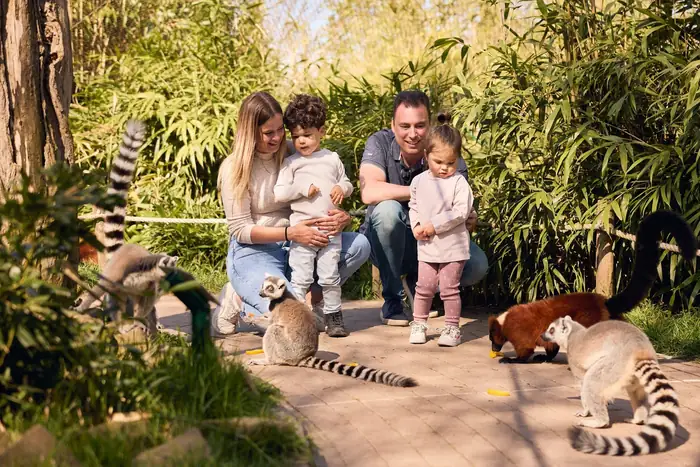 Eindhoven Zoo