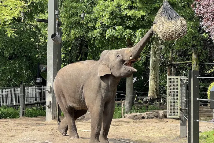 ZOO Antwerpen